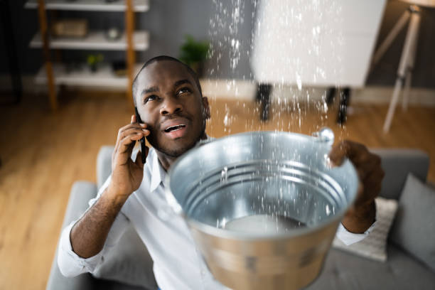 Best Water damage contractors near me  in Asheboro, NC