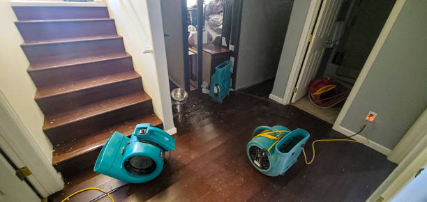 Best Local water damage restoration  in Asheboro, NC