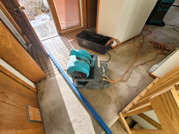 Best 24-hour water damage restoration  in Asheboro, NC