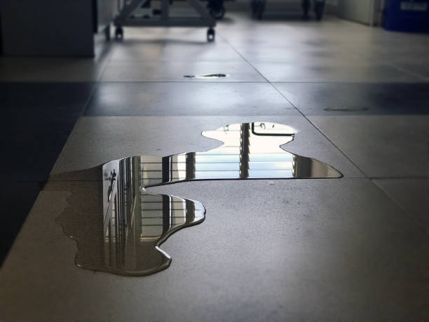 Best Water damage restoration experts  in Asheboro, NC